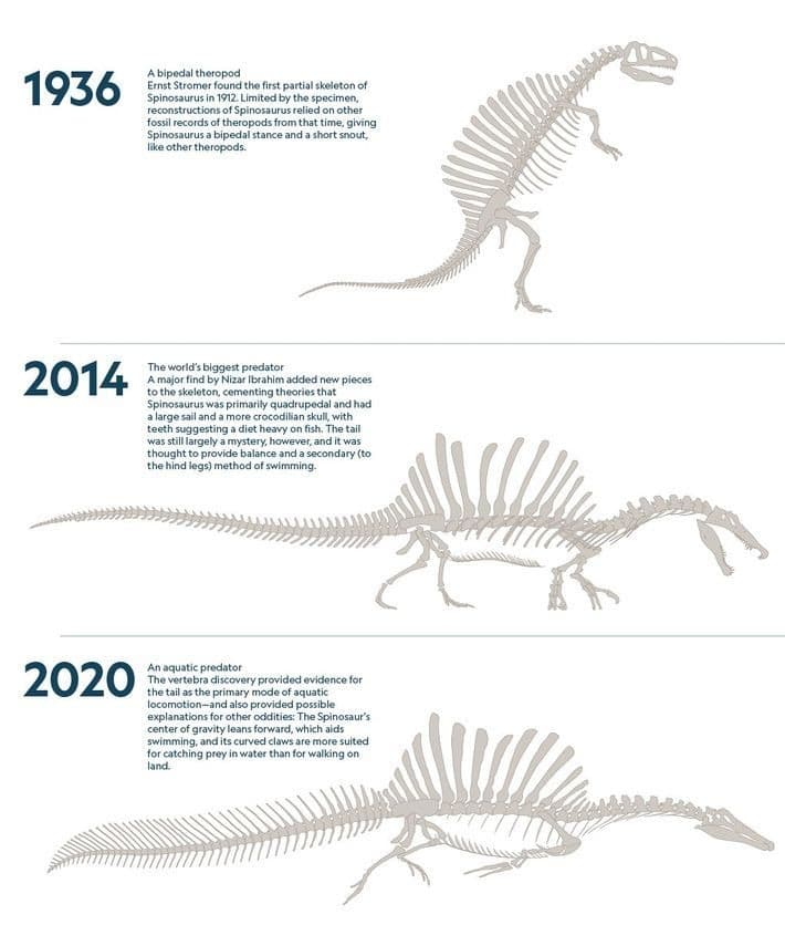 Building a Library That Lasts