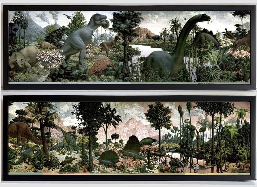 Mid-Century: The 'Classic' Look